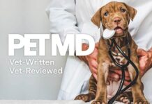 Demasiado ácido en el cuerpo de los perros