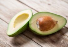 ¿Son los aguacates venenosos para los perros?