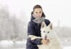 7 formas en que el clima frío puede afectar a su perro