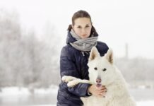 7 formas en que el clima frío puede afectar a su perro