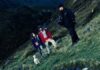 Los británicos se llevan el premio Top Dog de Cannes