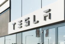 La función del modo perro llegará a los autos Tesla