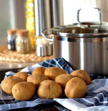 ¿Los perros pueden comer patatas?