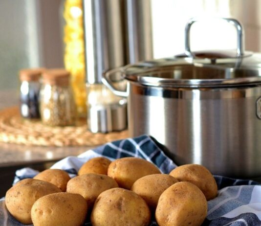 ¿Los perros pueden comer patatas?